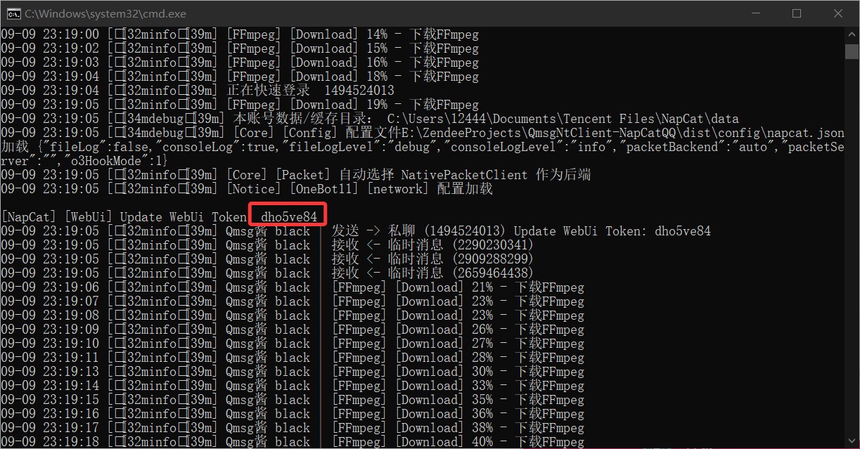 控制台打印的密码